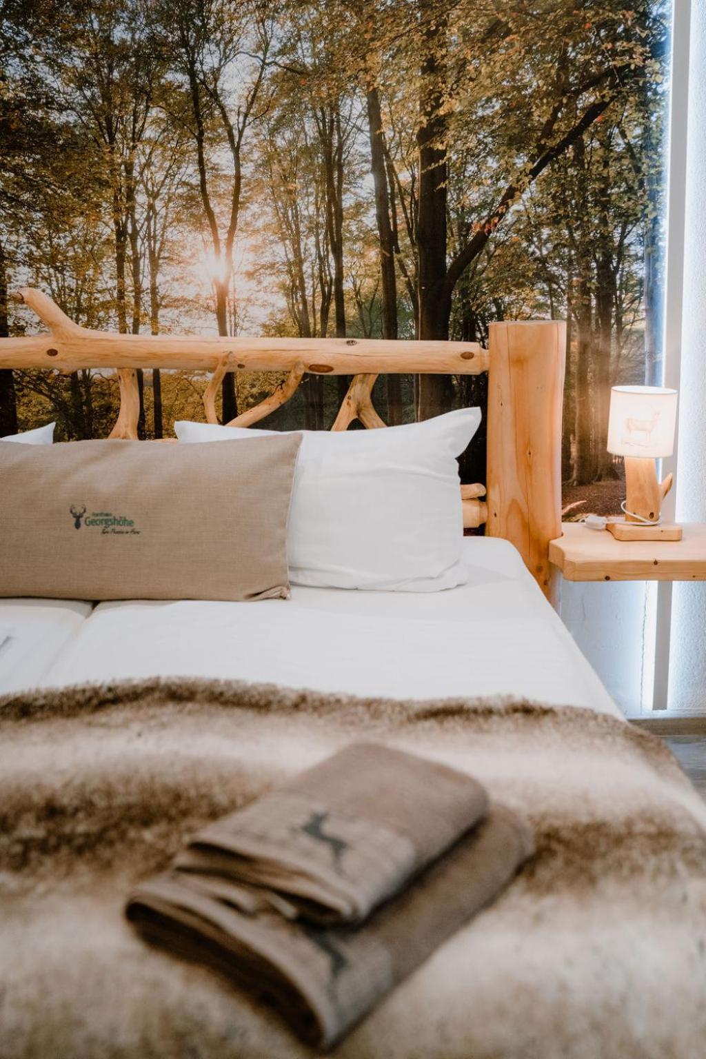 Naturtraum Georgshoehe Thale Room photo